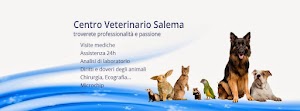 Centro Veterinario Salema