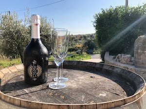 Tenuta Ferrante vini