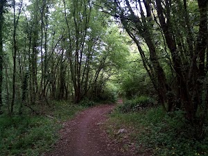 Bosco di San Vito - Monte Tifata