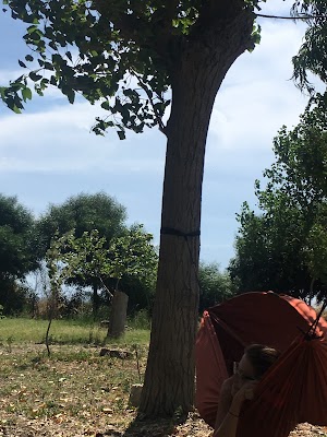 Poseidonia Club Camping