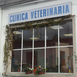 Clinica Veterinaria Dr.ssa Foti e Dr. Schneider