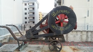 Botrugno Sergio Azienda Vitivinicola