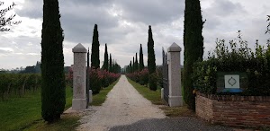 Azienda Agricola Casello Bondoni Di Tomasi Gaetano