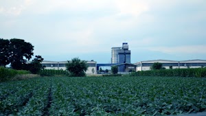 Agri-Cer Barin Snc - Essiccazione - Stoccaggio Cereali