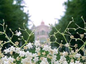 Museo Di Villa Breda - Viviamo Villa Breda