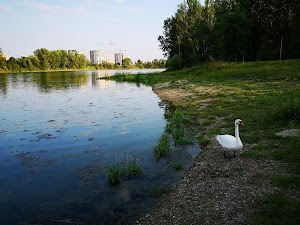 Laghetto Centro Parco Segrate