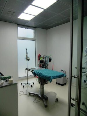 Vetestudio - Ambulatorio Veterinario