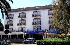 Hotel Flamingo Royal Albergo